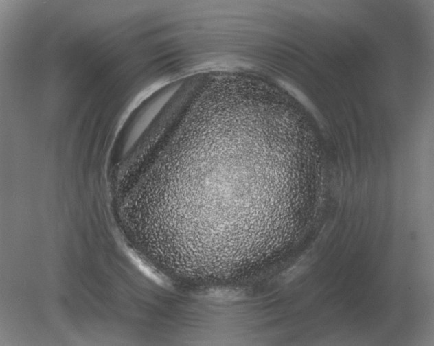 X0000082201026200702021839