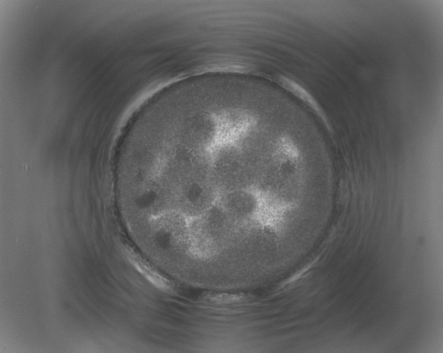 X0000082201027200702021839