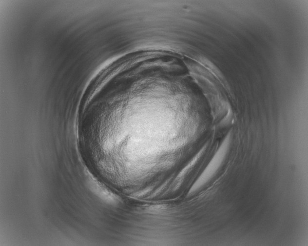 X0000082201028200702021839