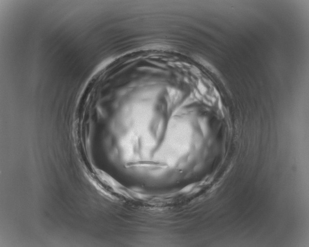 X0000082201029200702021839