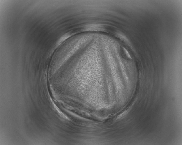 X0000082201033200702021839