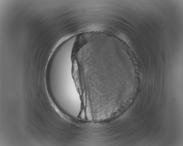 X0000082201034200702021839