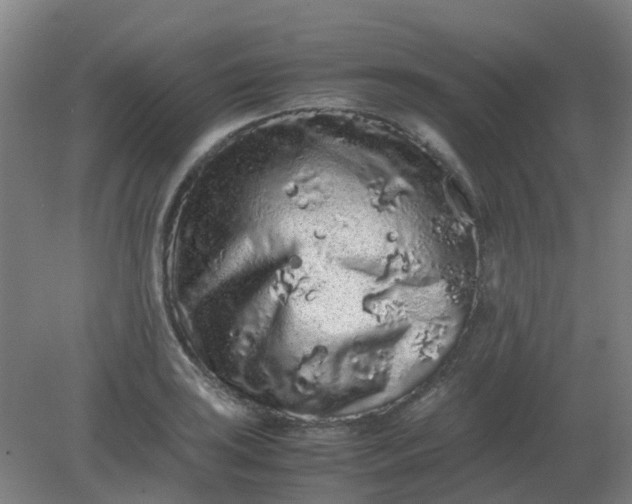 X0000082201035200702021839