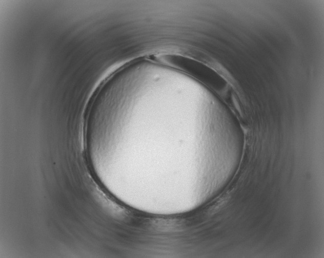 X0000082201036200702021839