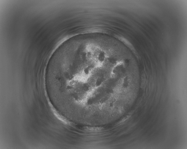 X0000082201039200702021839