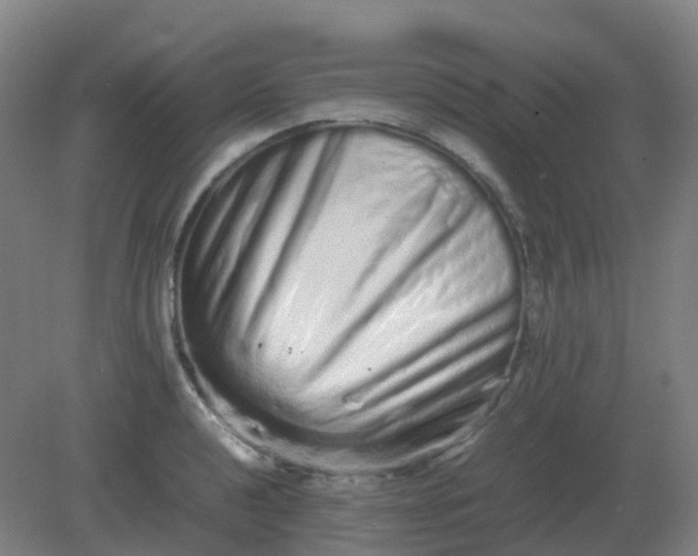 X0000082201040200702021839