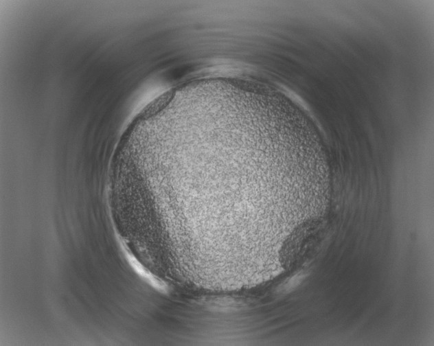 X0000082201042200702021839