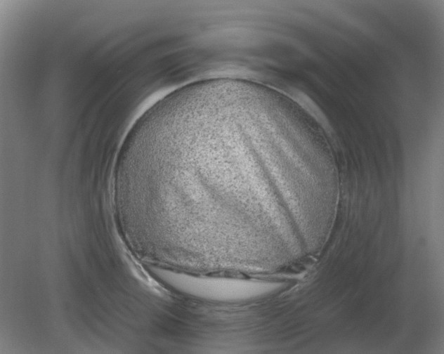 X0000082201044200702021839