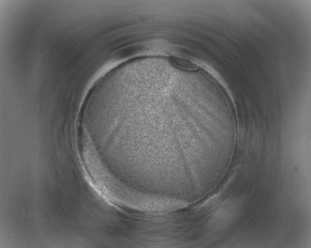 X0000082201045200702021839