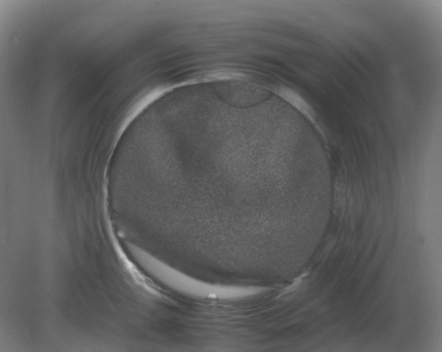 X0000082201047200702021839