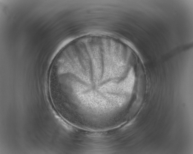 X0000082201048200702021839