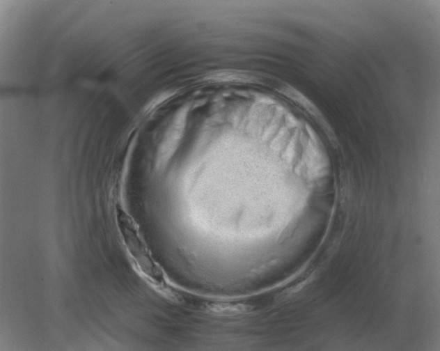 X0000082201049200702021839