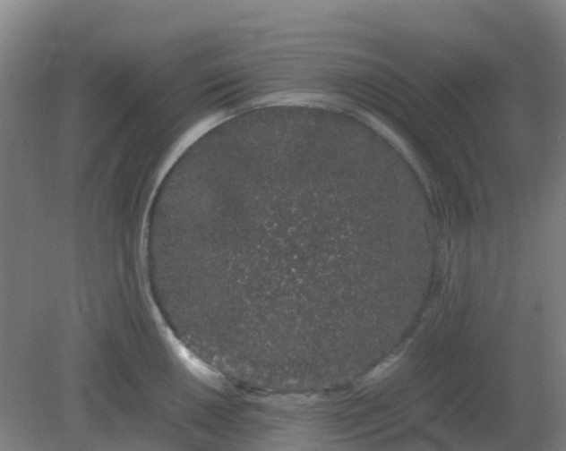 X0000082201050200702021839