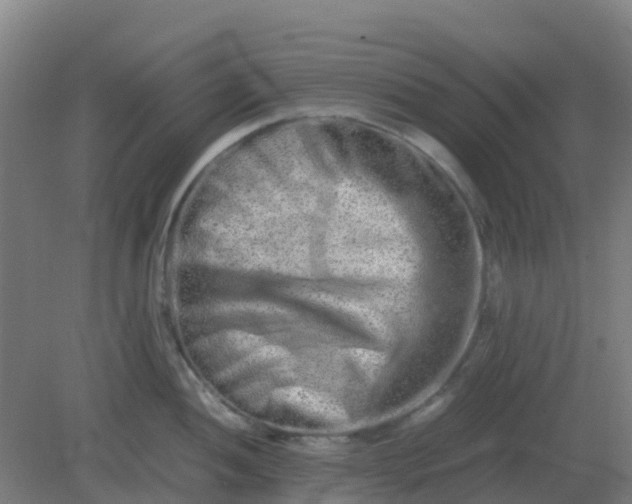 X0000082201052200702021839