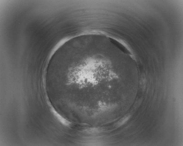 X0000082201054200702021839