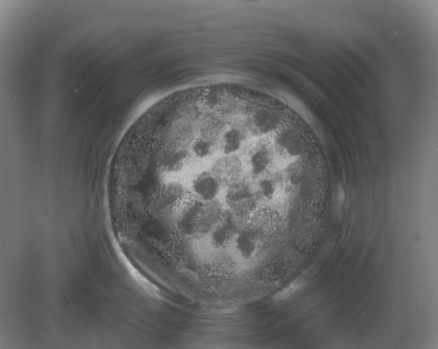 X0000082201055200702021839