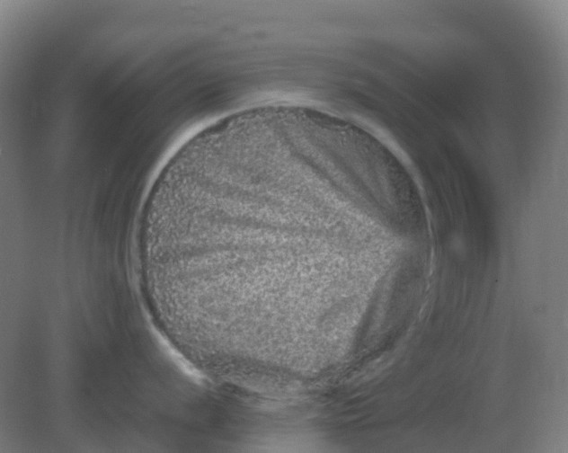 X0000082201056200702021839