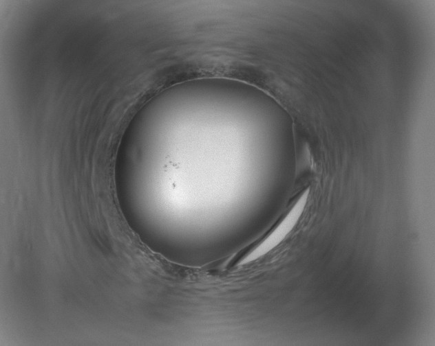 X0000082201057200702021838