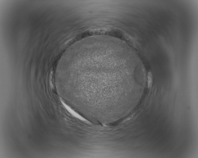 X0000082201059200702021838