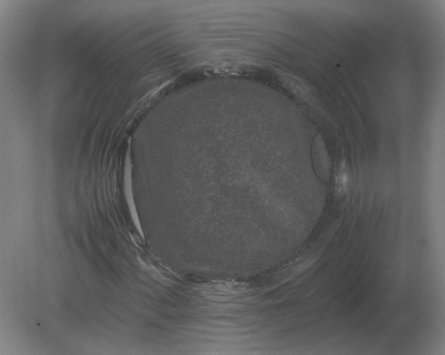 X0000082201060200702021838