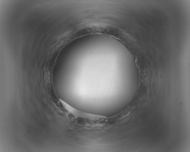 X0000082201061200702021838