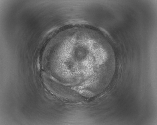 X0000082201063200702021838