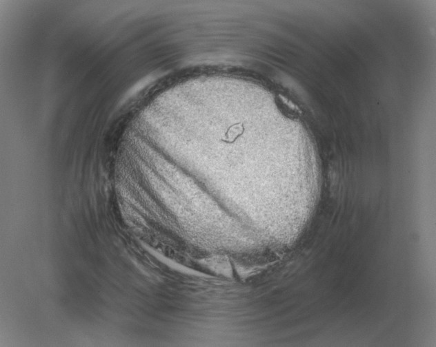 X0000082201064200702021838