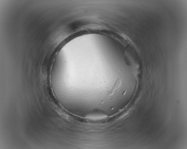 X0000082201065200702021838