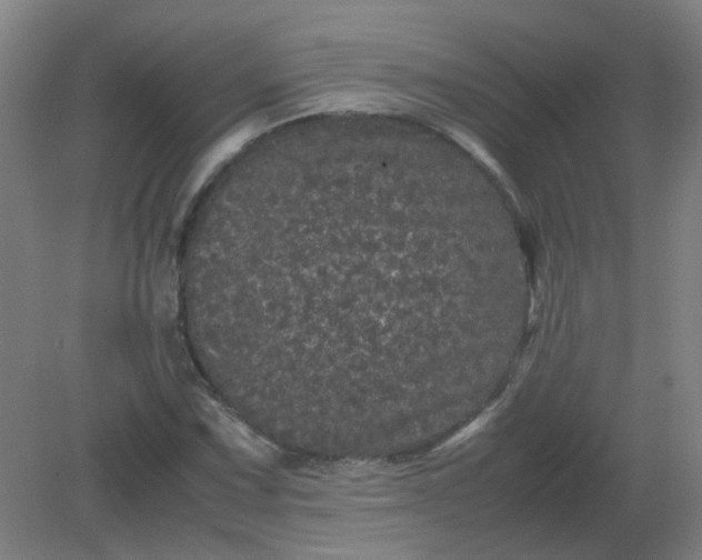 X0000082201067200702021838