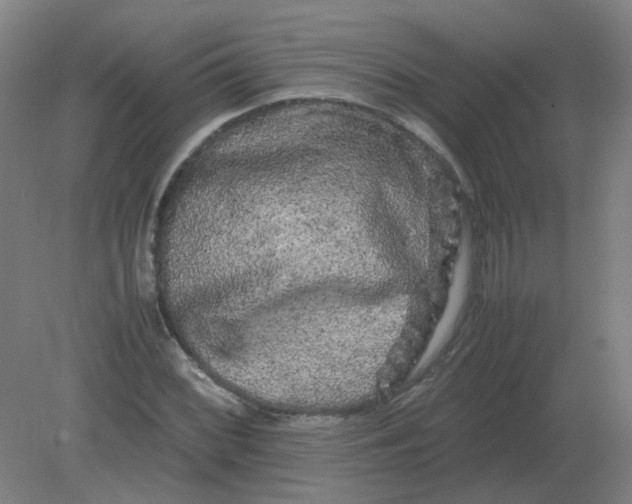 X0000082201068200702021838