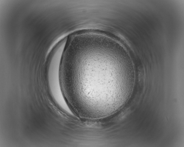 X0000082201069200702021838