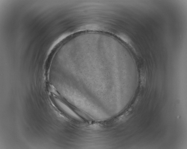 X0000082201070200702021838