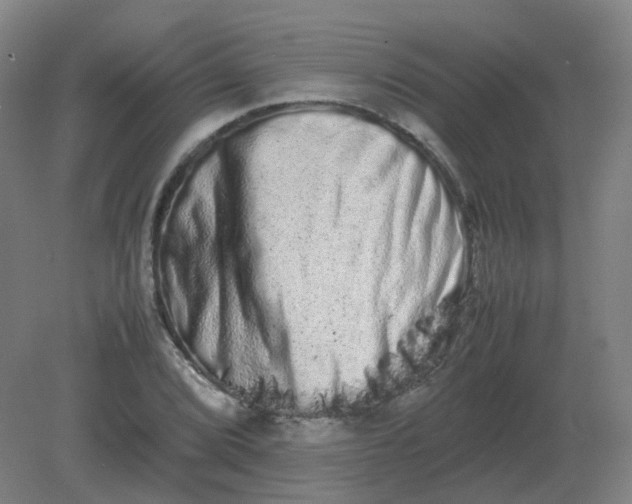 X0000082201072200702021838