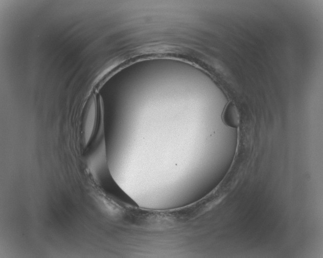 X0000082201073200702021838