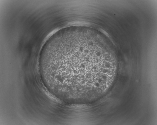 X0000082201074200702021838