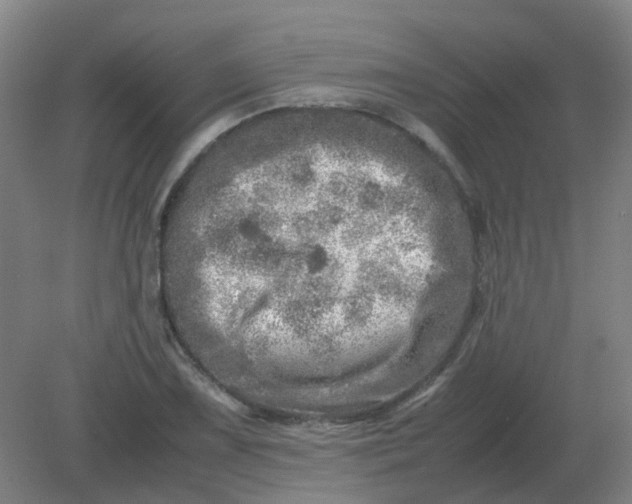 X0000082201075200702021838