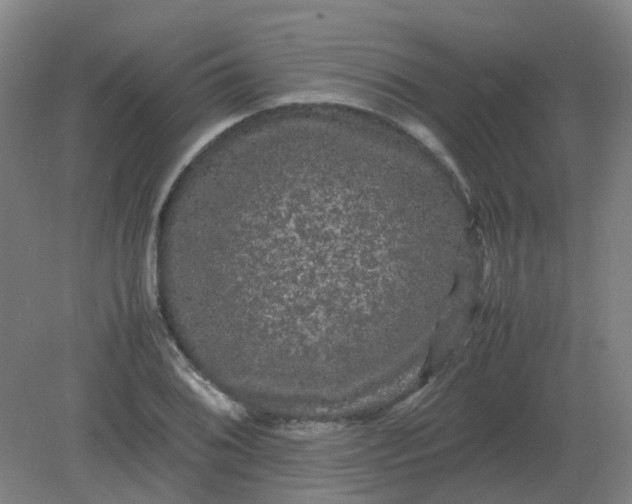 X0000082201076200702021838