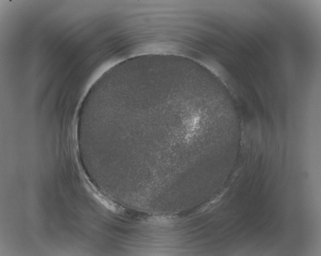 X0000082201078200702021838