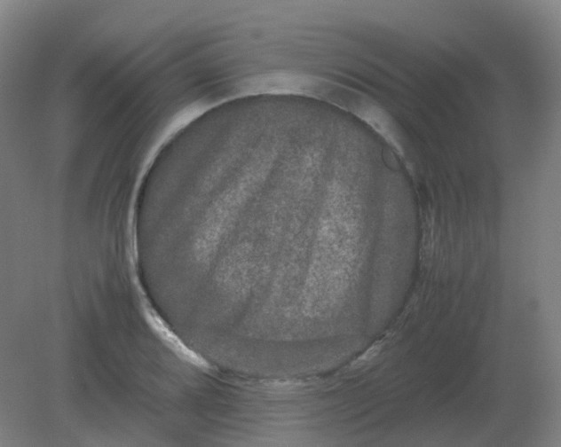 X0000082201080200702021838