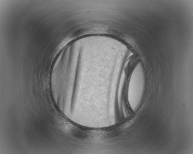 X0000082201081200702021838