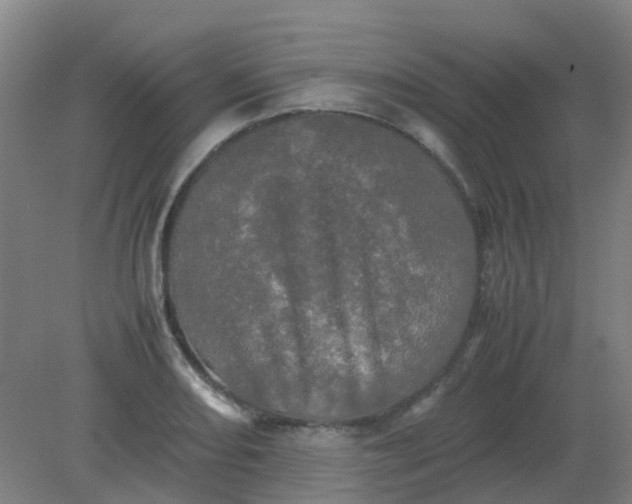 X0000082201082200702021838