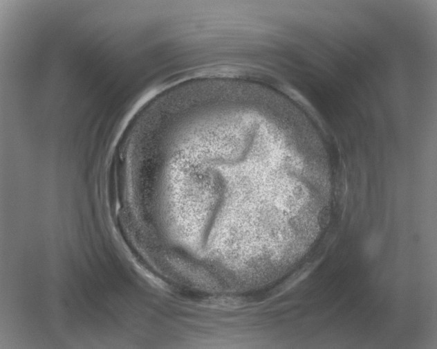 X0000082201083200702021838