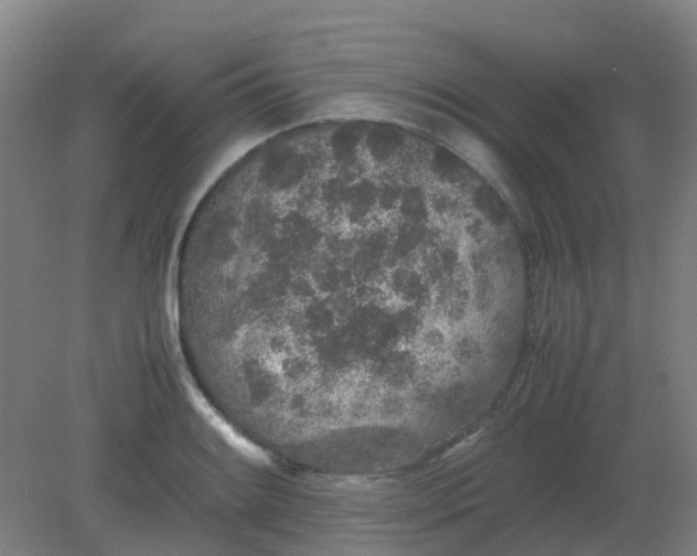 X0000082201084200702021838