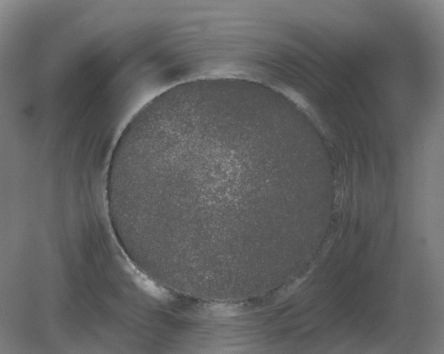 X0000082201086200702021838