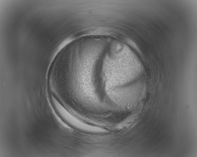 X0000082201087200702021838