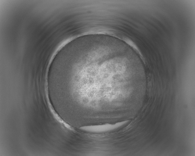 X0000082201088200702021838