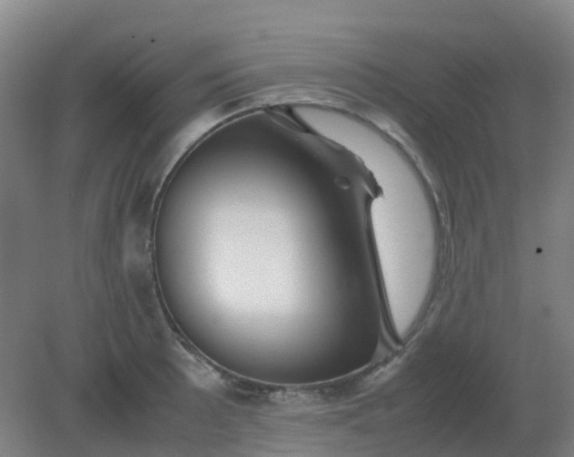 X0000082201089200702021838