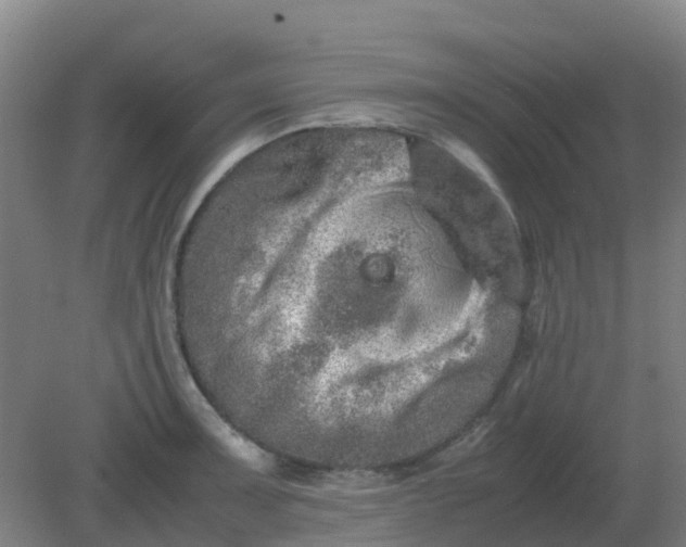 X0000082201091200702021838