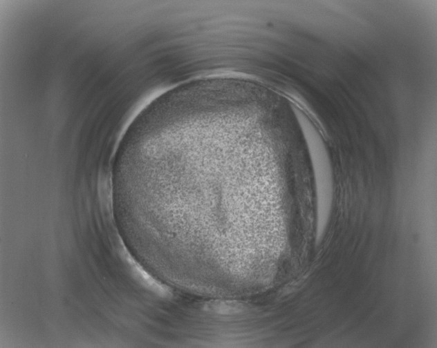 X0000082201092200702021838