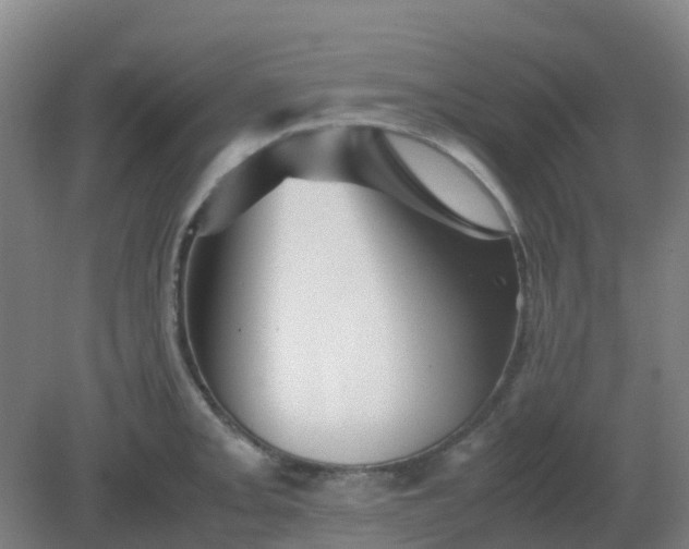 X0000082201093200702021838